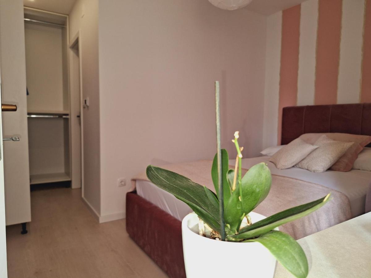 希贝尼克Apartman Maja ****公寓 外观 照片